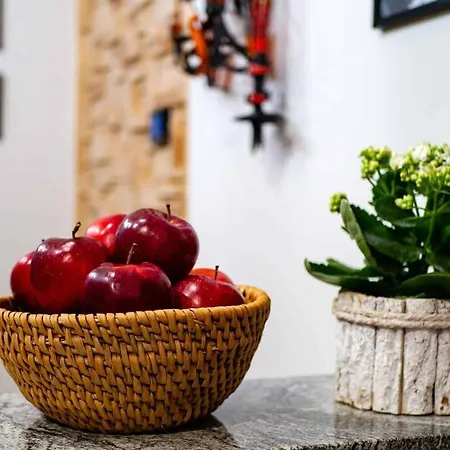 Appartement - Taternik *